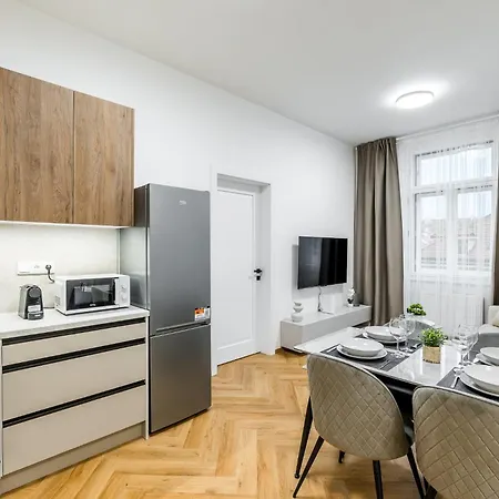 Apartment Modern In The Center Of Prag
